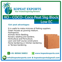 Vente en gros de haute qualité bloc de tourbe de coco sol de noix de coco cocopeat poussière de déchets extrêmement nutritifs pour la literie animale