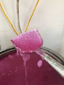 Elevate Your Halloween with <b>Gummy</b> <b>Candy</b> Bliss - Product Image 6