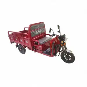 High Performance 100Kg Motorcycle Tricycle Electric Trike Build For Sell