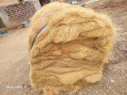 Nuevos productos de fibra de coco de tendencia orgánico natural puro de alta calidad Blanco natural para todas las estaciones - Product Image 6