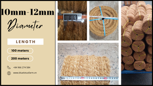 One of the Top Producers of Large-sized, Ethically Made, Bulk-available Coconut Fiber Rope Wire 2025 Cheap Price - Product Image 6