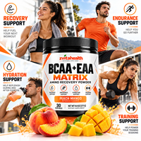 Poudre d'acides aminés BCAA en marque blanche 2:1:1, 7g de BCAA par portion, récupération musculaire post-entraînement, endurance, sans sucre, GMP