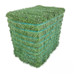 Heno de Alfalfa de Primera Calidad en Pellets y Pacas - Deshidratado, 24 Meses de Vida Útil, Origen Países Bajos, 5% de Humedad, Alimento para Animales - Product Image 6