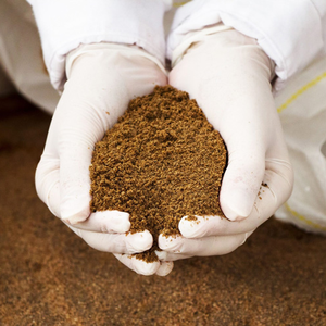 100% <b>Fish</b> Meal Protein Powder From Vietnam for Pet Food Animal Feed <b>Fish</b> Chew <b>Toys</b> - Product Image 6