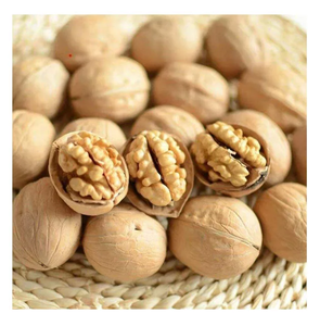 Noix crues biologiques en coquille Emballage écologique Noyaux en vrac séchés traités - Product Image 2