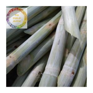 Caña de azúcar congelada de alta calidad, sabor puro y dulce natural, suministro de exportación de fábrica de Vietnam a bajo precio - Product Image 2