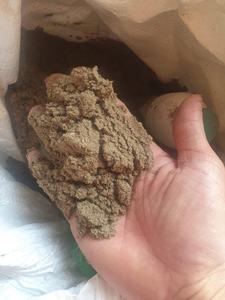 BON PRIX EN GRANDES QUANTITÉS REPAS DE POISSON SÉCHÉ FABRIQUÉ AU VIETNAM - Product Image 2