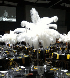 Plumes d'autruche de qualité supérieure, directement de l'usine, vente en gros, idéales pour la création de costumes, les bouquets et les décorations - Product Image 6