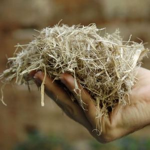 Bagasse séchée écologique pour l'alimentation du bétail - Résidu de canne à sucre riche en fibres - Source d'énergie biomasse durable - Product Image 1