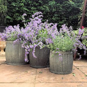 Ensemble de 3 jardinières ovales de style français, écologiques, en métal galvanisé, pots à fleurs en métal ondulé, jardinière pour la maison et le jardin - Product Image 3