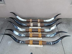 Cuerno de búfalo hecho a mano, arte de pared rústico único, artesanía Natural pulida, cuerno de vaca montado en la pared, Animal NÁUTICO DE LA India - Product Image 4