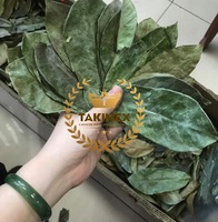 Export Standaard Vietnam Gedroogde Zuurzak Blad-Gedroogde Graviola Fruit Laat De Beste Kwaliteit Te Koop Bij Takimex Leverancier