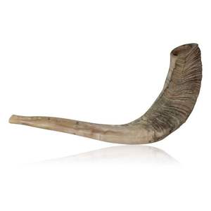 Shofar Horn Shofar Kudu Horn Instrument Instrument de musique juif Animal de la famille des bovidés - Product Image 3