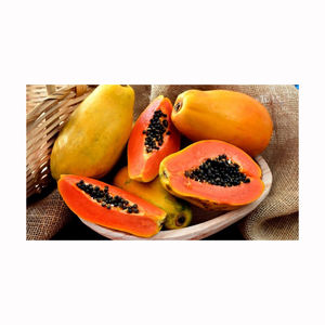 Fruta de papaya fresca, producto tropical premium, sabor dulce y maduro, venta al por mayor a granel, exportación directa de granja, proveedores - Product Image 1