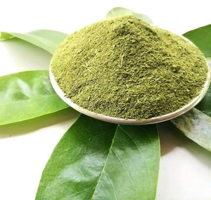 Poudre de feuilles de corossol en vrac: directement du Vietnam au monde - Product Image 1