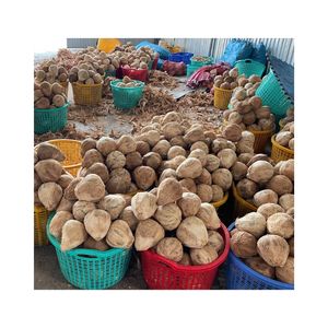 NOUVEAU : Noix de coco pelée, surface impeccable, pour une meilleure présentation des produits et une base savoureuse pour les magasins de boissons spécialisées - Product Image 4