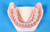 Horno Cerámico Dental de Alta Estabilidad para Sinterización de Zirconia, Disilicato de Litio y Cerámicas de Vidrio