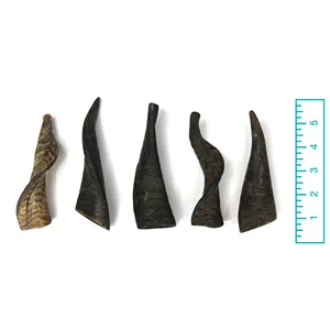 Prix de gros poli véritable corne de chèvre naturelle à vendre directement de l'artisanat indien et de la main couleur de la corne naturelle usine - Product Image 2