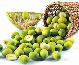 SEMILLAS DE LOTO PELADAS ENTERAS DE FUENTES NATURALES SELECCIONADAS INGREDIENTE A BASE DE PLANTAS PARA APLICACIONES DE ALIMENTOS INMUNE - Product Image 2