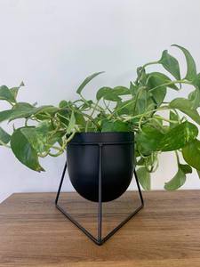 Pots de fleurs en fer de style antique avec support pour décoration de ferme ou de jardin rustique disponibles au prix de gros - Product Image 5