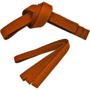 Cinturones de BJJ y Taekwondo Unisex de alta calidad, nueva moda, ropa de artes marciales bordada multicolor, diseño personalizado, OEM disponible - Product Image 1