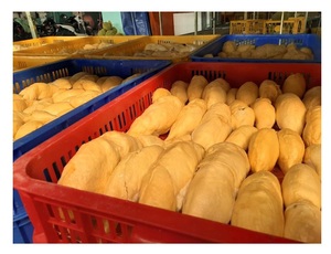 Fruta de carne de Durian congelada dulce natural de calidad superior al mejor precio a granel de Vietnam y otras frutas congeladas - Product Image 6