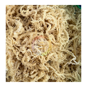 Organic Eucheuma Cottonii <b>Seaweed</b> Wholesale - High Carrageenan Content for Industrial and Commercial Use - Product Image 3