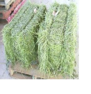 Heno/Alfalfa Natural, estándar, asequible, disponible - Product Image 1
