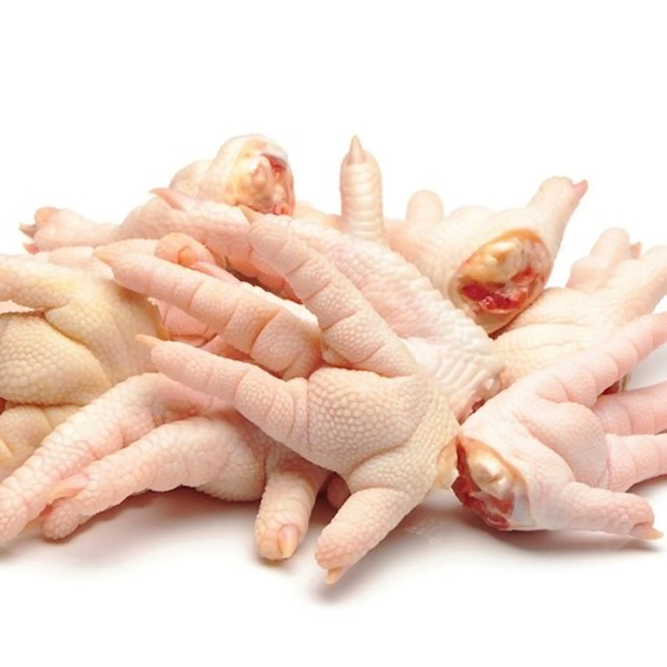 Pattes de poulet congelées en vrac propres disponibles et prêtes pour l'exportation