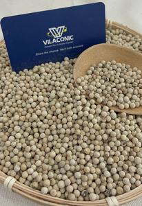 Pimienta picante Cultivo orgánico Vietnam Mejor Tasa de fábrica 630g/L Pimienta blanca limpia Estilo seco Contacto crudo Anna Do + 84982153058 - Product Image 2