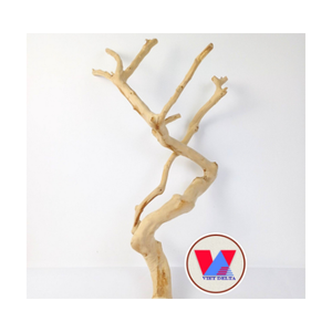 PERCA DE PÁJARO DE MADERA DE CAFÉ DE ALTA CALIDAD DEL PROVEEDOR VIETNAMIGO MÁS VENTA/Sra. Thi - Product Image 1