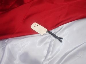 Vantage Unique Design Fancy Serveur à fromage de qualité supérieure Serveur à fromage design polonais brillant en acier inoxydable métal de haute qualité - Product Image 6