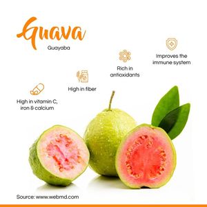 <b>Guava</b> Pink Puree Juice Concentrate From Vietnam ANNA - Product Image 5