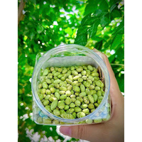 Export van geroosterde groene sojabonen, hele bonen, OEM, ODM, aangepaste verpakking, bulklevering