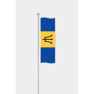 "Custom <b>Flag</b> Digital Printing Aluminum <b>Pole</b> Durable Plastic Polyester/Polyester Silk Materials Automotive Insurance Education - Product Image 1
