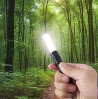 Mini lampe de poche ultra lumineuse Zoomable Petite poche légère 100 Lumens vendue bien sur les marchés de l'UE avec un porte-clés suspendu