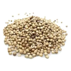 100% semi di coriandolo organico in polvere per curry, sottaceti fornitori all'ingrosso