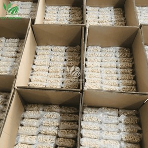 Snack sain Saveur de noix de coco Noix de cajou grillées Enrobées Premium Bulk Wholesale Supply Export Saveur tropicale - Product Image 5