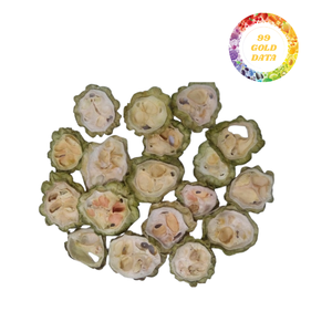 Gourde amère séchée en tranches du Vietnam sélectionnée et emballée pour l'emballage général non alimentaire et l'exportation en vrac à usage commercial - Product Image 4