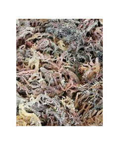 PURE SEAMOSS CLEAN <b>LABEL</b> MARINE SUPERFOOD FOR IMMUNE SUPPORT AND NATURAL <b>PLANT</b> BASED WELLNESS - Product Image 1