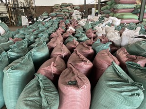 Poivre noir séché naturel en gros, épices et herbes pour steak, marque Agrikim, origine Vietnam, 1000 kg, durée de conservation de 2 ans +84399521266 - Product Image 2
