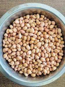 Graines d'arachide 100% naturelles G20, qualité d'exportation, approvisionnement en vrac pour les produits agricoles, prix de gros le plus vendu - Product Image 3