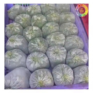 Hojas de yuca congeladas para consumo humano Exportación de alta calidad Hojas de yuca trituradas congeladas de grado superior para cocinar - Product Image 4