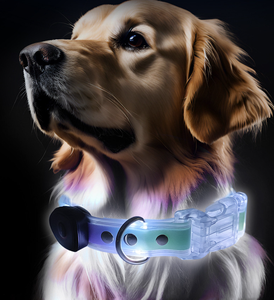 Collier et laisse pour animaux de compagnie personnalisés, réfléchissants et lumineux à LED, rechargeables par USB, sécurité nocturne pour chats et chiens - Product Image 3