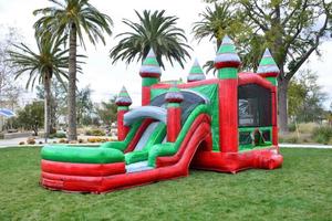 Castillo Inflable Personalizable con Tobogán Acuático y Piscina, Material de PVC - Product Image 2