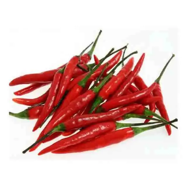 world best premium quality dry red chili pepper for sale origin India countries for South Africa Kenya Uganda packing 5kg bag