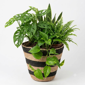 Handicrafts Bohemian <b>Seagrass</b> Woven <b>Plant</b> <b>Pot</b> with Yellow Rim Eco-Friendly Indoor Flower Planter for Home Decor - Product Image 5