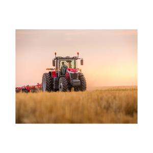 Tracteurs de qualité supérieure Massey Ferguson disponibles en vrac, idéaux pour les fournisseurs et les distributeurs agricoles - Product Image 6