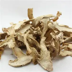 COMPETITIVE PRICE DRIED OYSTER MUSHROOM FROM VIETNAM SUPPLIER IN BULK