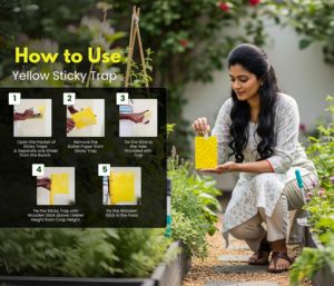 10 bẫy hình chữ nhật | thân thiện với môi trường bắt côn trùng cho gnats, rệp và bướm trắng | lâu dài - Product Image 3